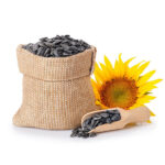 Sun flower Seed